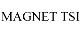 MAGNET TSI