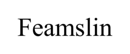 FEAMSLIN