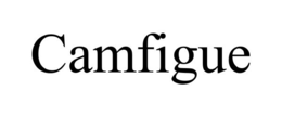 CAMFIGUE