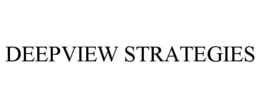 DEEPVIEW STRATEGIES