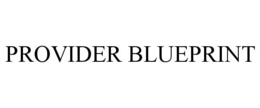 PROVIDER BLUEPRINT