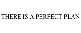 THERE IS A PERFECT PLAN