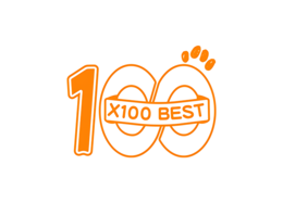100 X100 BEST