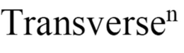 TRANSVERSEN