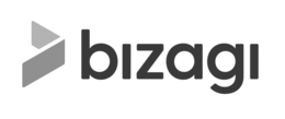 BIZAGI
