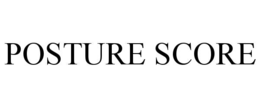 POSTURE SCORE
