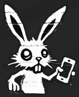 99554009
