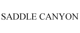 SADDLE CANYON