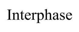 INTERPHASE