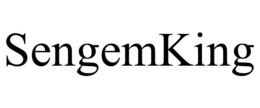 SENGEMKING