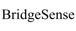 BRIDGESENSE