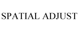 SPATIAL ADJUST