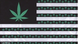 CANNABIS
