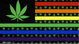 CANNABIS