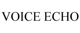 VOICE ECHO