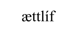ÆTTLÍF
