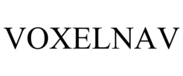 VOXELNAV