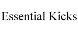 ESSENTIAL KICKS