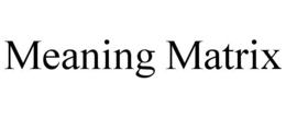 MEANING MATRIX
