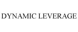 DYNAMIC LEVERAGE