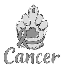 CANCER