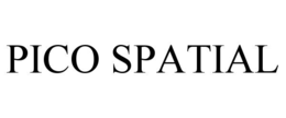 PICO SPATIAL