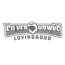 SILVER HAWKS LOVINGGOOD