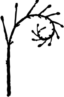 99660964