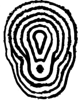 99661016