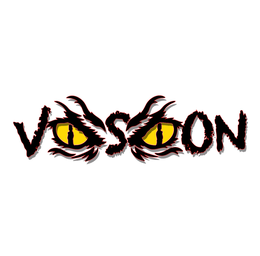 VISION