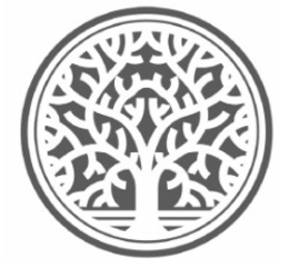 99668954