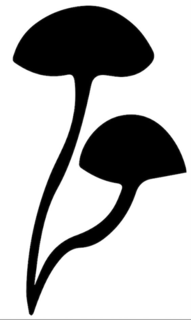99669525