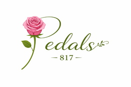 PEDALS - 817 -