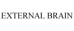 EXTERNAL BRAIN