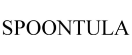 SPOONTULA