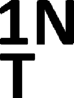 1N1T