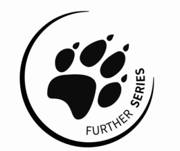 FURTHER SERIES