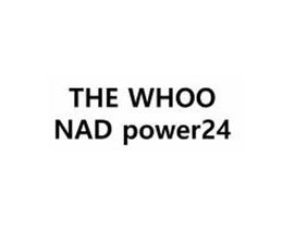 THE WHOO NAD POWER24