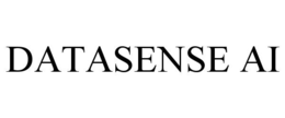 DATASENSE AI