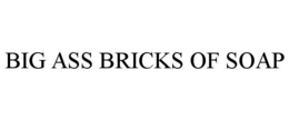 BIG ASS BRICKS OF SOAP