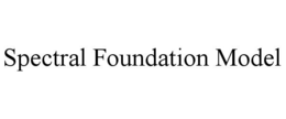 SPECTRAL FOUNDATION MODEL