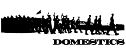 DOMESTICS