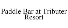 PADDLE BAR AT TRIBUTER RESORT