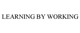 LEARNING BY WORKING