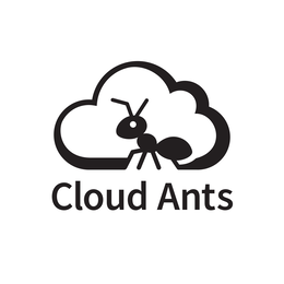 CLOUD ANTS