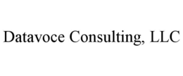 DATAVOCE CONSULTING, LLC