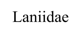 LANIIDAE