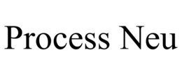 PROCESS NEU