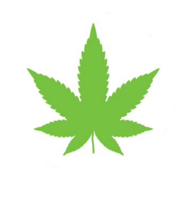 MARIJUANA